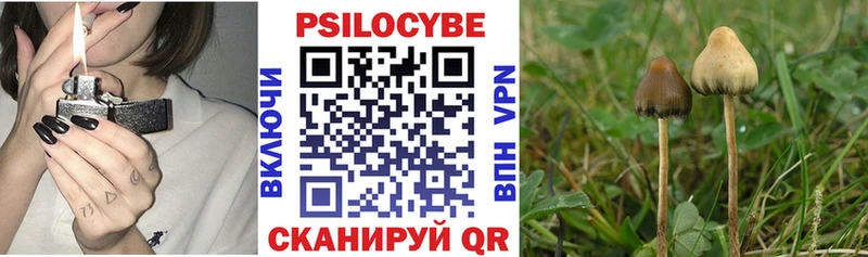 Купить закладки  Юрьевец  Галлюциногенные грибы Psilocybine cubensis 